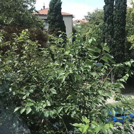 Enero Bacvice Apartman *