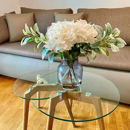 Apartman Enero Bacvice