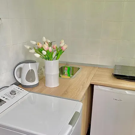 Enero Bacvice Apartman